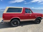 Thumbnail Photo 3 for 1989 Ford Bronco